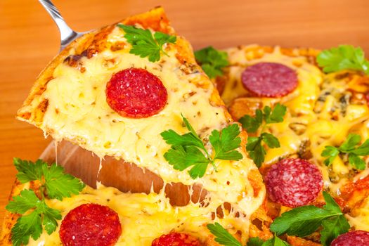 hot pizza with salami on wooden background