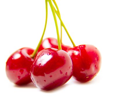 bunch of ripe succulent cherries isolated on white background