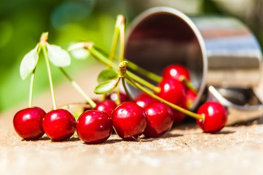 bunch of ripe cherries spilled from a metal mug