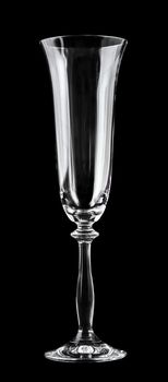 one empty champagne glass on a dark background