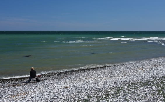 Scene from Sangstrup Klint in Denmark