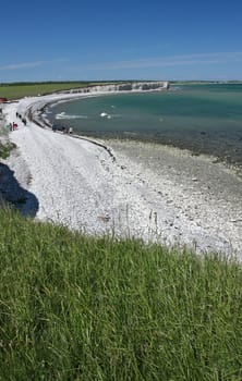 Scene from Sangstrup Klint in Denmark