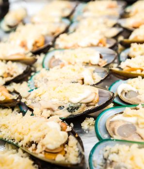 clams in shells lying in a row with spices