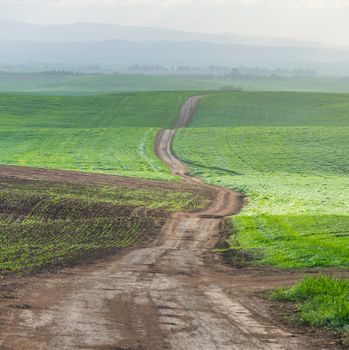 long trail through the grassy field in summer day