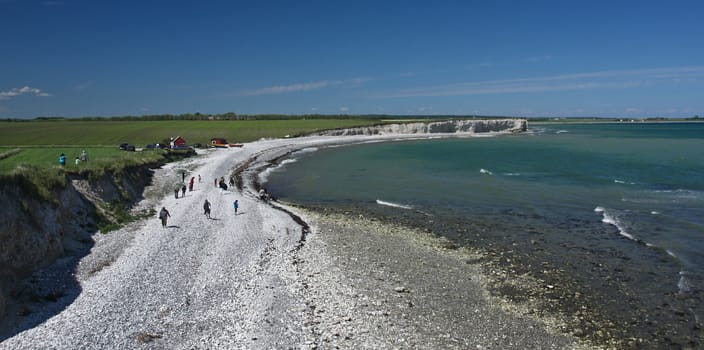 Scene from Sangstrup Klint in Denmark