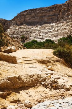 hiking trail along the gorge in the Negev desert