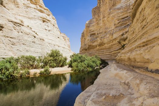 a deep gorge in the Negev desert 