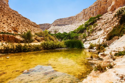 gorge landscape with a pond in the Negev desert