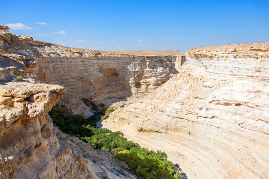landscape of the gorge in the Negev desert sunny day