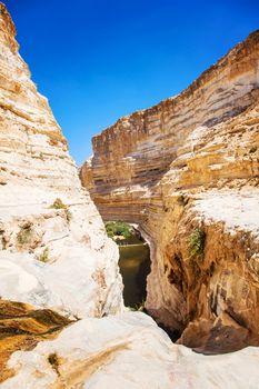 landscape of the gorge in the Negev desert view from top of