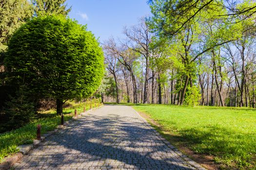spring landscape Sophia Park in Uman, Ukraine