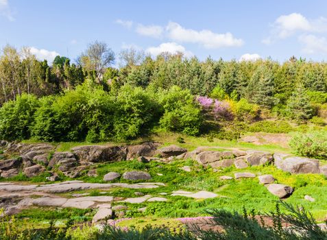 green glade in the forest with big stones