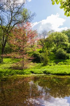 Lake of the Woods in the spring sunny day