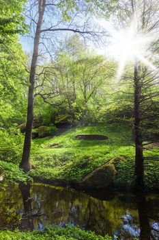 landscape green forest and river with big stones on the shore