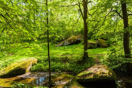 landscape green forest and river with big stones on the shore