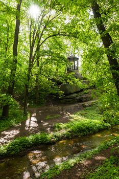 green forest and river with big stones 