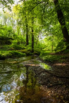 Lake of the Woods in the spring sunny day