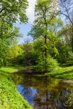summer landscape river in green forest