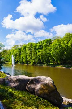 forest and river with big stones on the shore