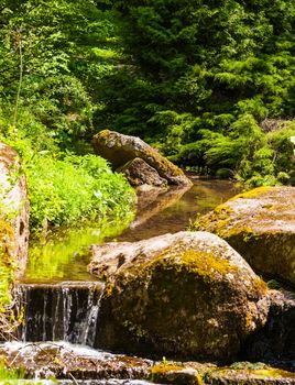 mountain stream flowing over the stones in green forest