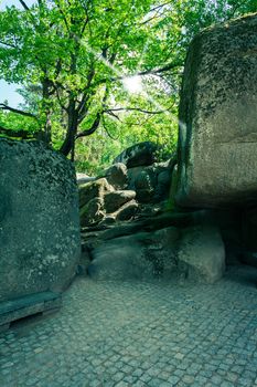 large rocks and plants in the park Sophia