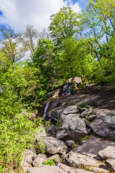 stone rock with growing green trees, spring day