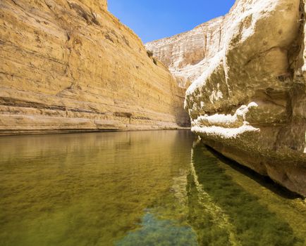 a deep gorge in the Negev desert with a natural water source