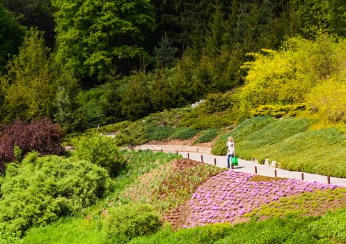 People strolling down the garden walkway in park