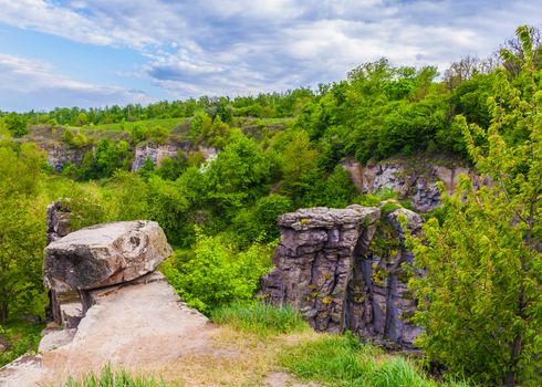 landscape of green forests growing on the rocks