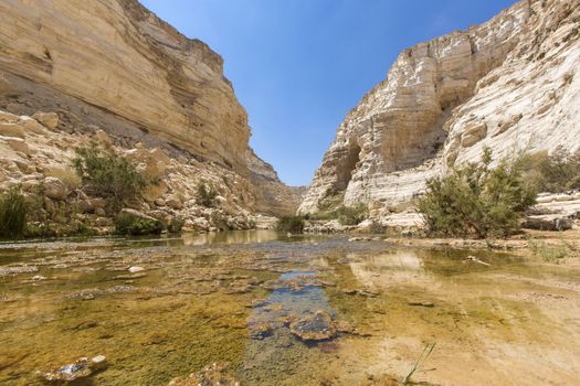 natural source at the bottom of a deep ravine