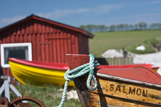 Scene from Sangstrup Klint in Denmark