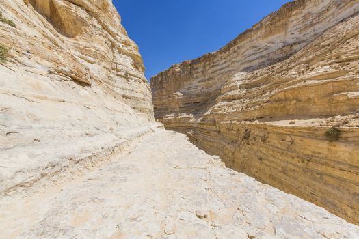 landscape of deep ravine in the Negev desert