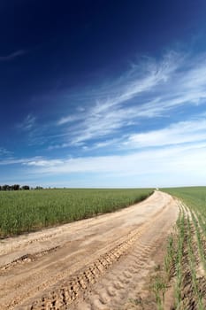 landscape road leading through a field