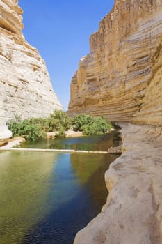 landscape at the bottom of the ravine is a river