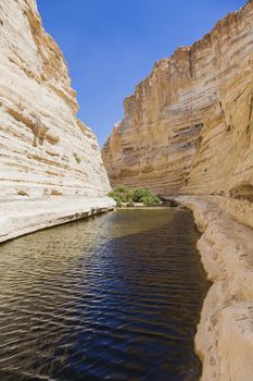 gorge in the Negev desert with a natural water source