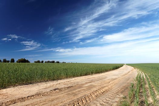 landscape road through the field in the sky