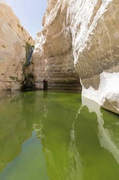 landscape of deep gorges in the Negev desert