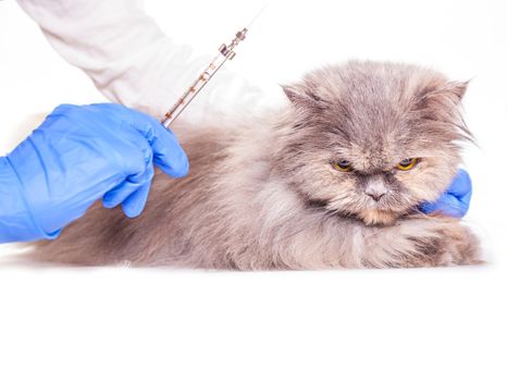 vaccinations for animals in a veterinary clinic, a medical background