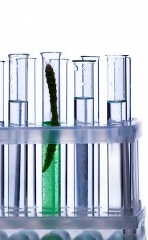 chemical tube with a plant on a white background
