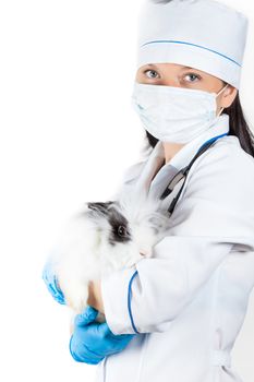 portrait of a doctor with a decorative rabbit on a white background