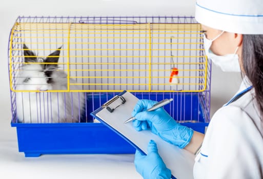 doctor makes an entry near the cells with a decorative rabbit