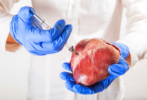 heart disease and vessels, isolated white background