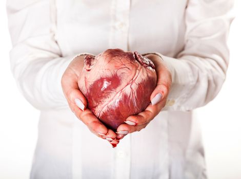 heart in hands, isolated white background