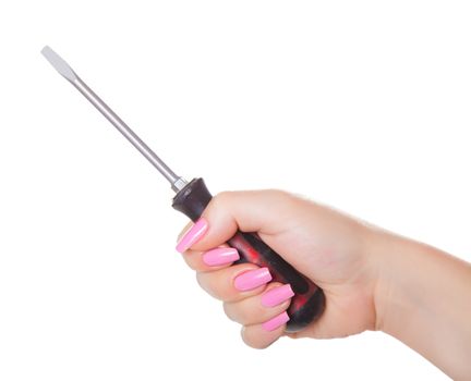 slotted screwdriver in hand, isolated white background