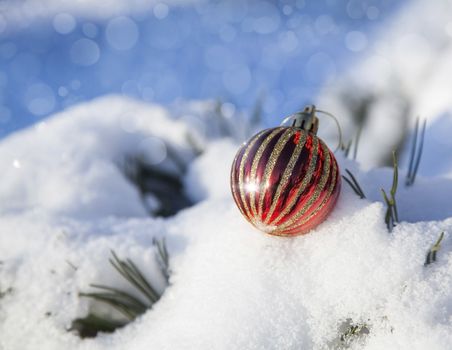 Christmas decoration ball on pine branch lying in the snow