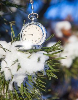 vintage watch hanging on a pine branch in snow