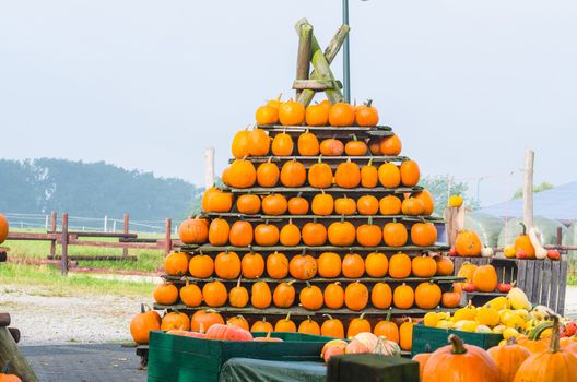 At a farmers market. Decorative pumpkins stacked in a pyramid shape.