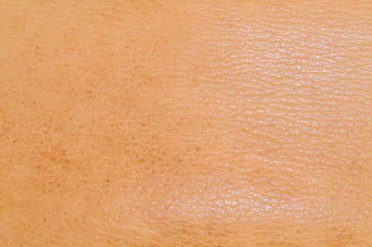 Natural brown leather. Animal skin Stretched. As a background.