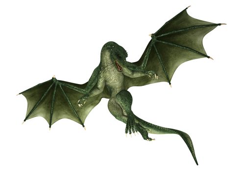 3D digital render of a green fantasy dragon isolated on white background