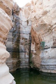 Oazis with water in the negev desert of israel